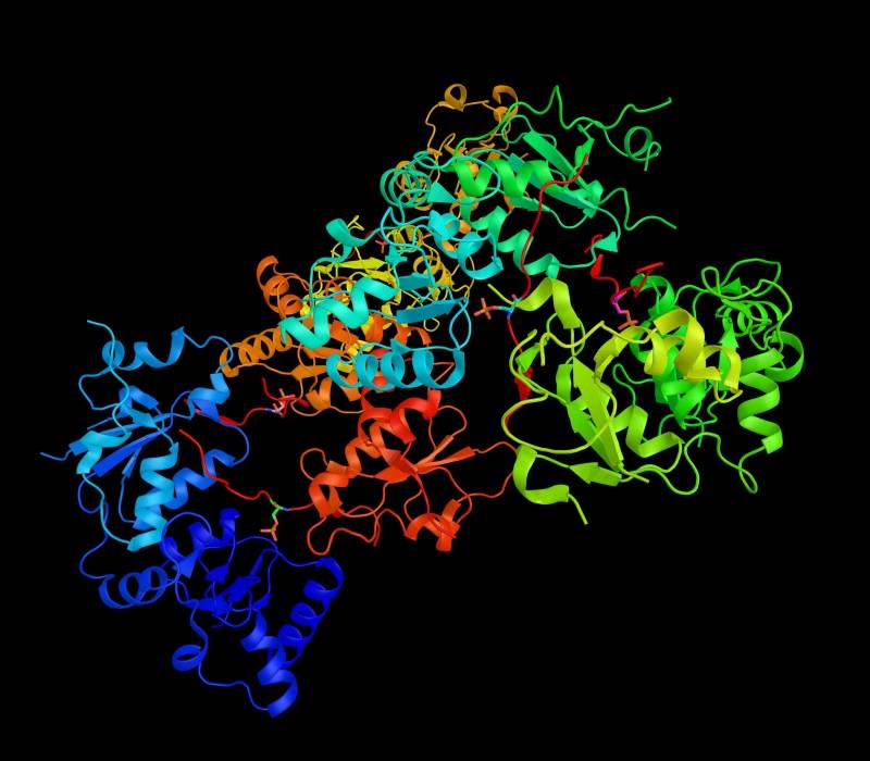 Gen BRCA1