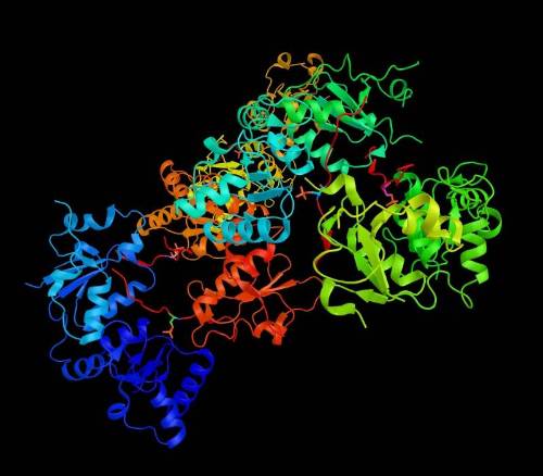 Gen BRCA1