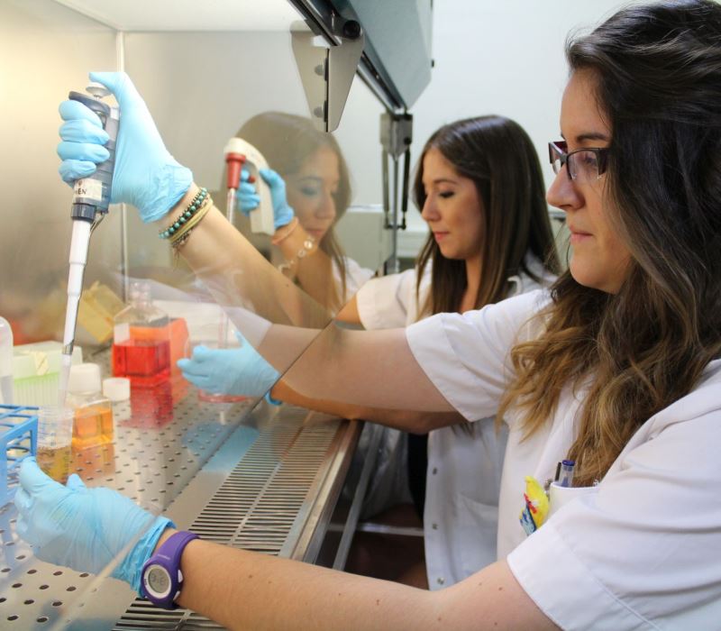 Enfermedad renal causada por diabetes