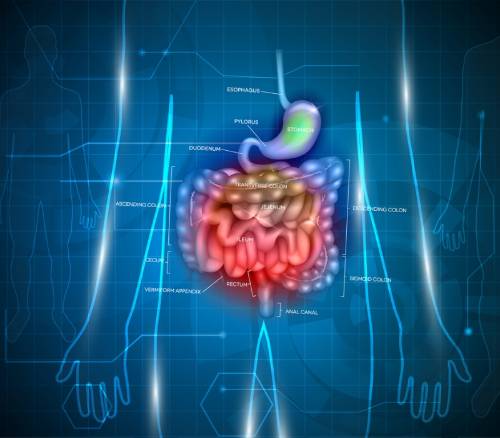 Enfermedad de Crohn
