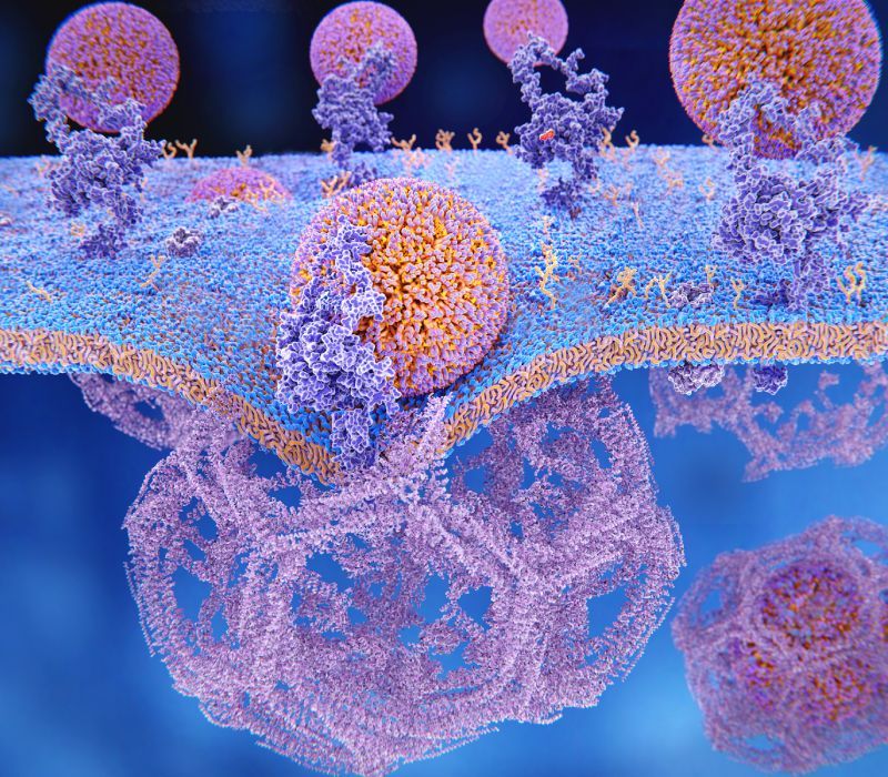 Factores de riesgo cardiovascular que puede que no conozcas