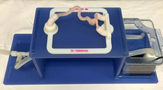 Modelo de circulación cerebral realizado por impresión 3D
