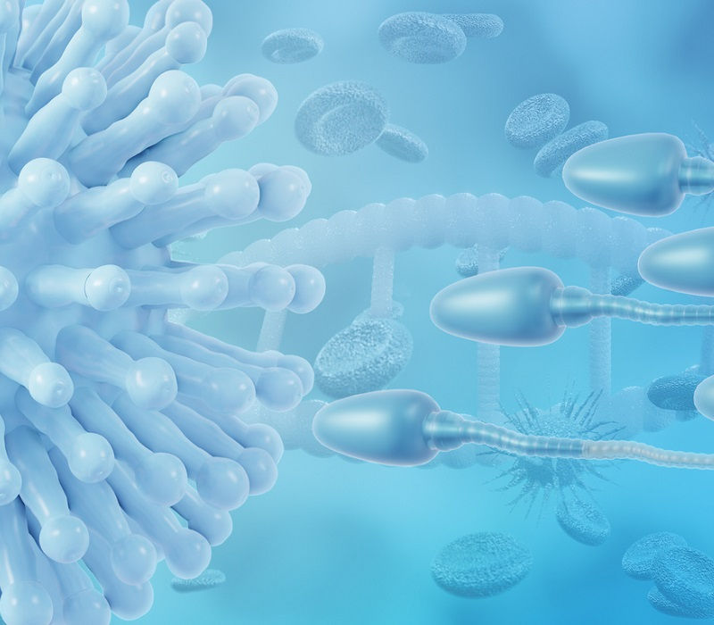 Cómo influye la Covid-19 en la fertilidad masculina