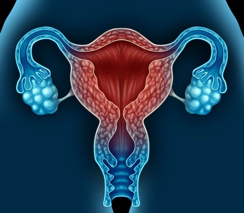 Ospemifeno: tratamiento oral para la atrofia vaginal