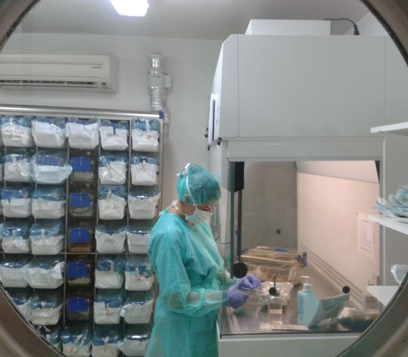 terapia-personalizada-cáncer