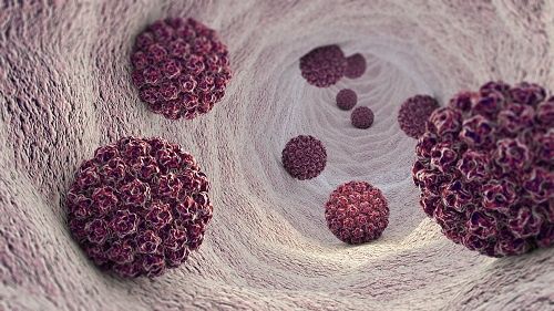 Virus del papiloma humano