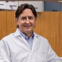 Amadeu Carceller Guillamet