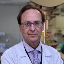 fernando-cabañas-gonzalez