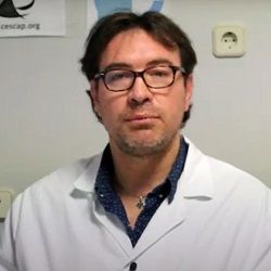 Matteo Fabbi
