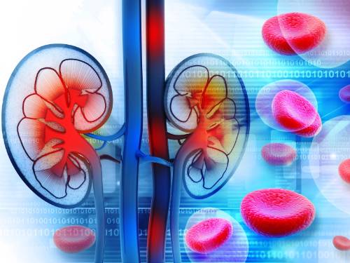 app-enfermedad-renal