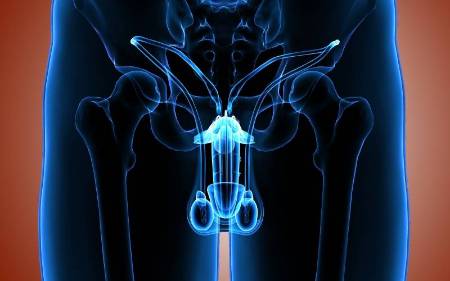 Los factores de crecimiento como solución a la disfunción eréctil