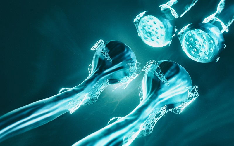 Neuronas