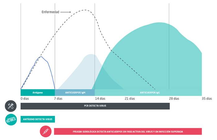 Gráfico con la comparación de las pruebas Covid