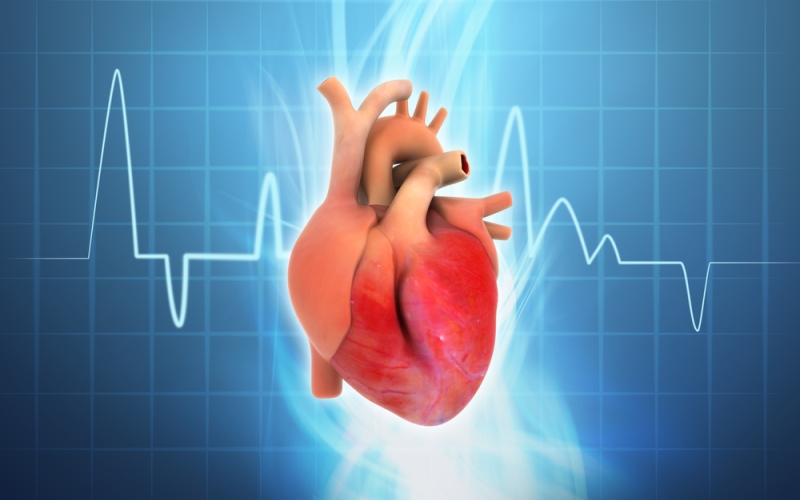 Electrofisiologia y arritmias