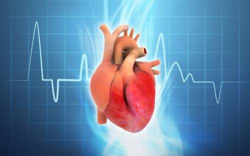 Electrofisiologia y arritmias