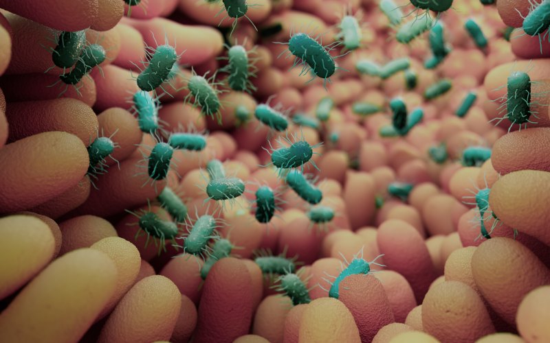 Ilustración de la microbiota intestinal