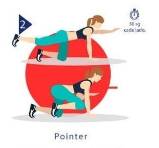 Postura Pointer