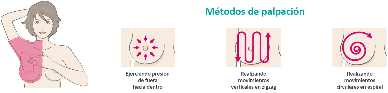Métodos de palpación