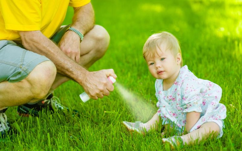 Cómo evitar y tratar picaduras de insectos