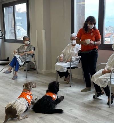 Terapia asistida con perros en el Hospital Universitari Sagrat Cor