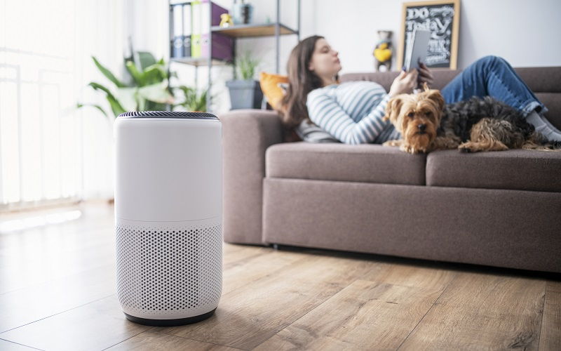 Humidificadores: cuándo usarlos y cuándo evitarlos