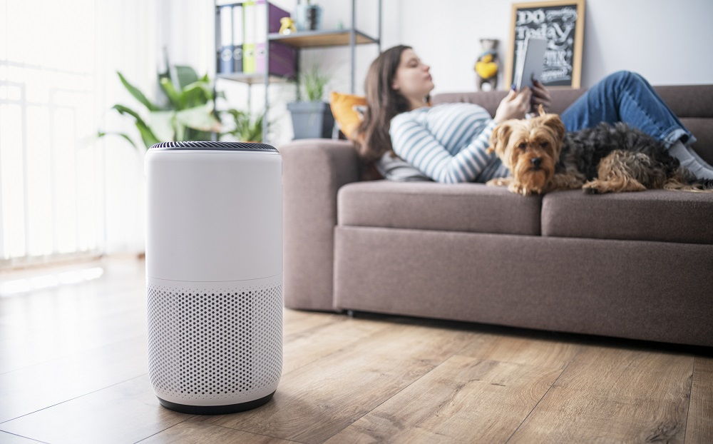 Uso del humidificador en el salón