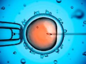 In vitro no presencial-2