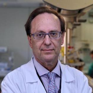 Fernando Cabañas González